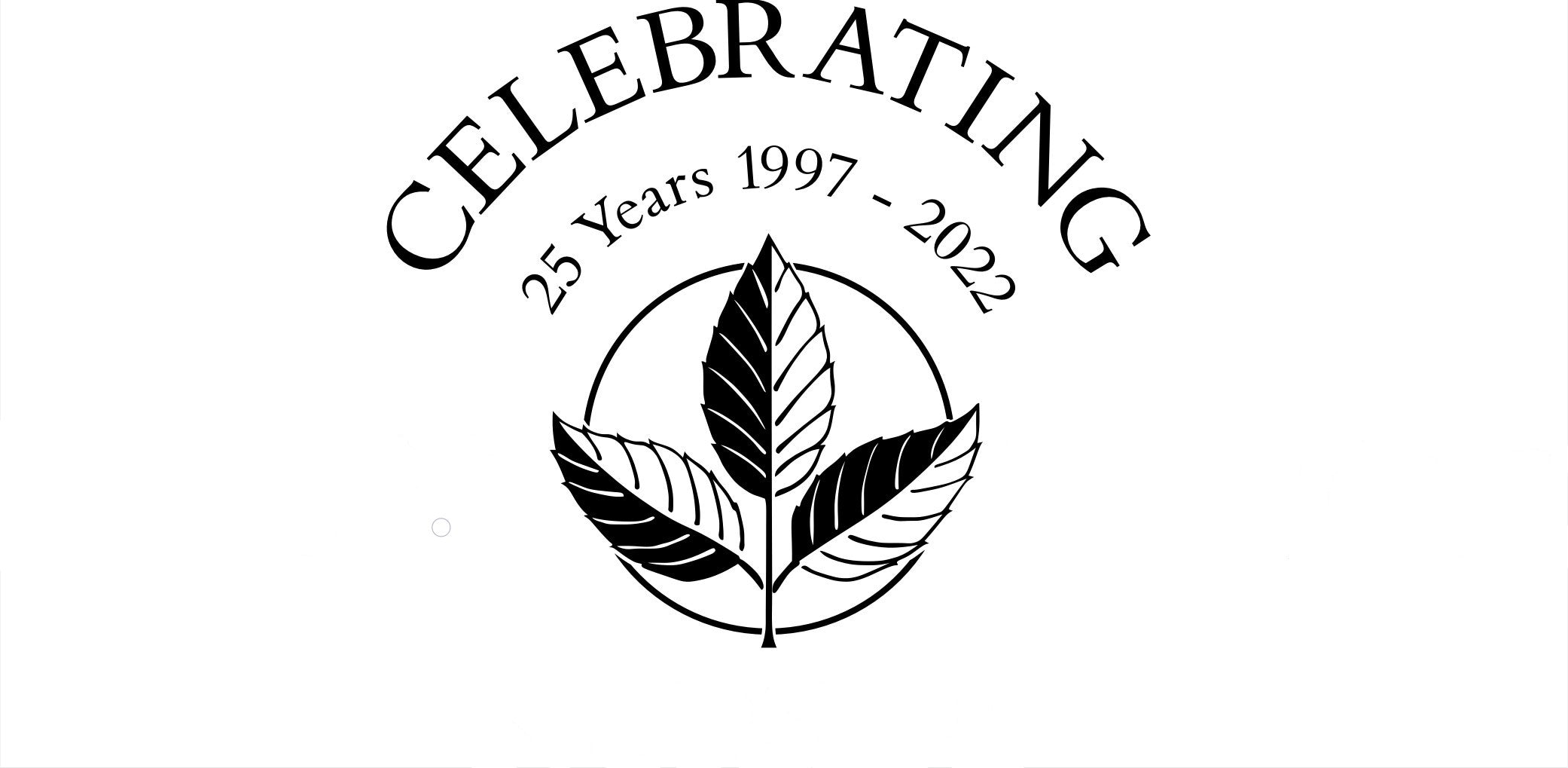 celebrating 25 years in business 2022